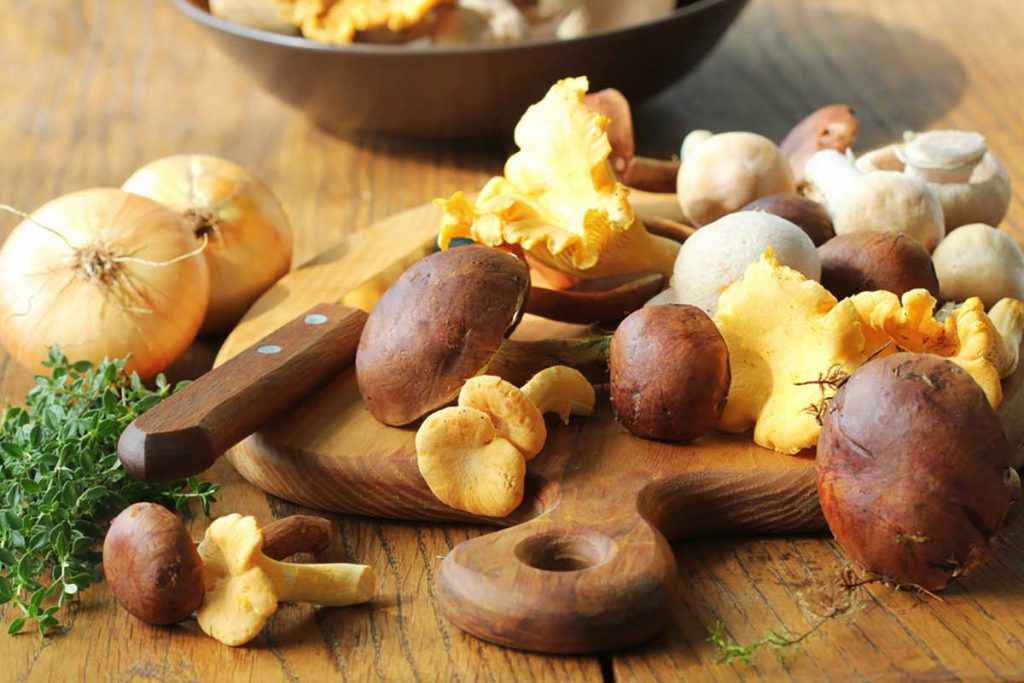 Tagliere con funghi porcini, funghi champignon, funghi giallarelli