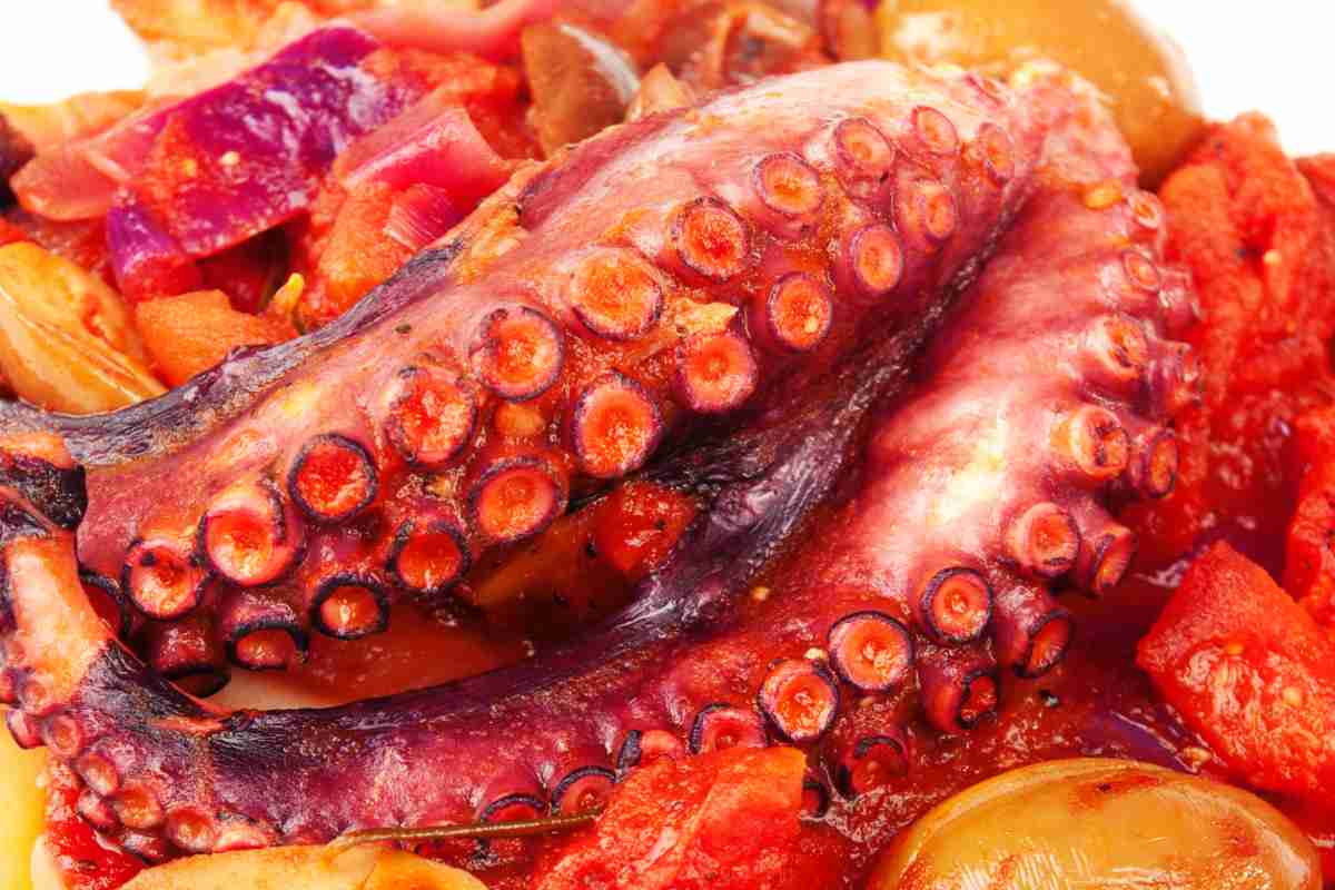Polpo alla diavola in un piatto con olive