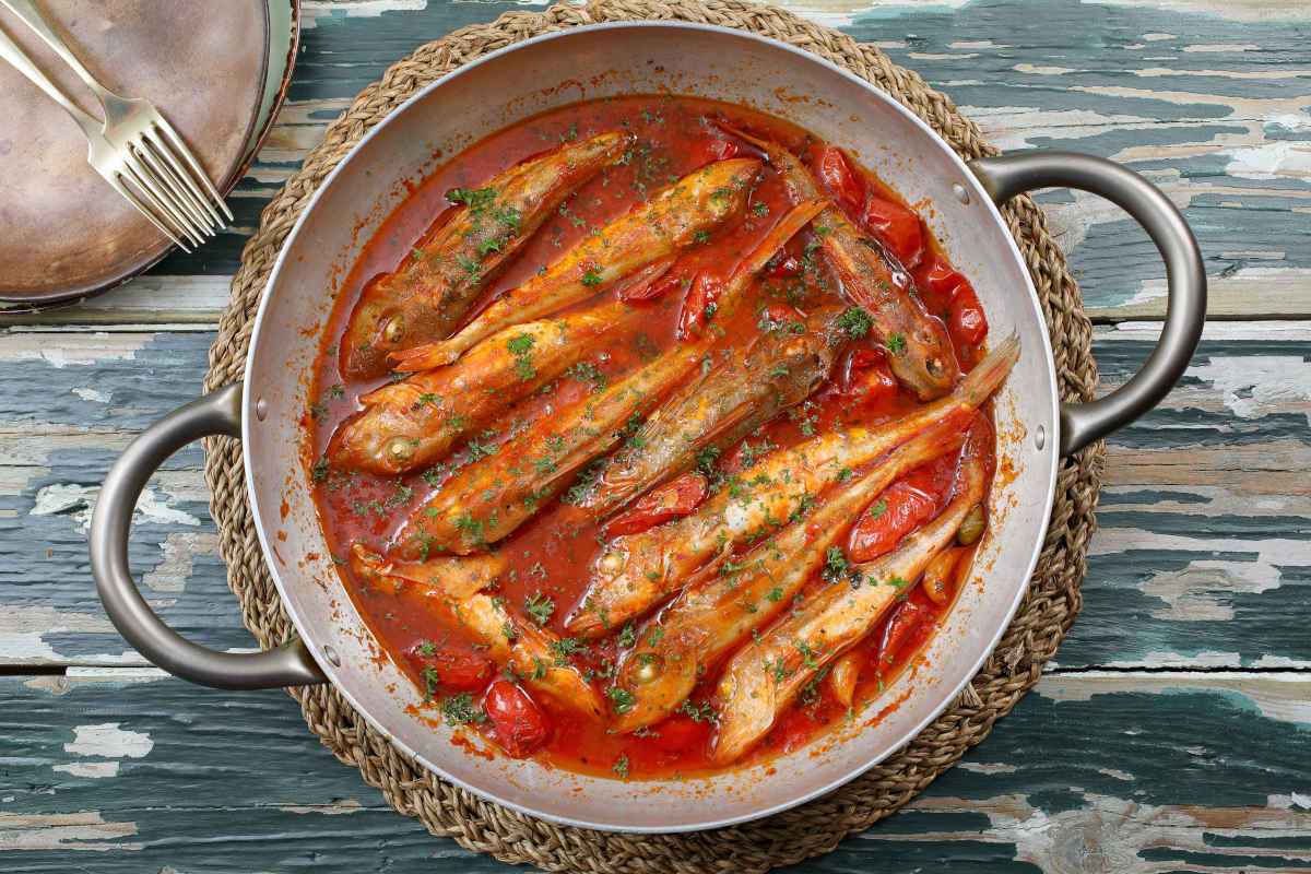 Gallinella di mare al pomodoro