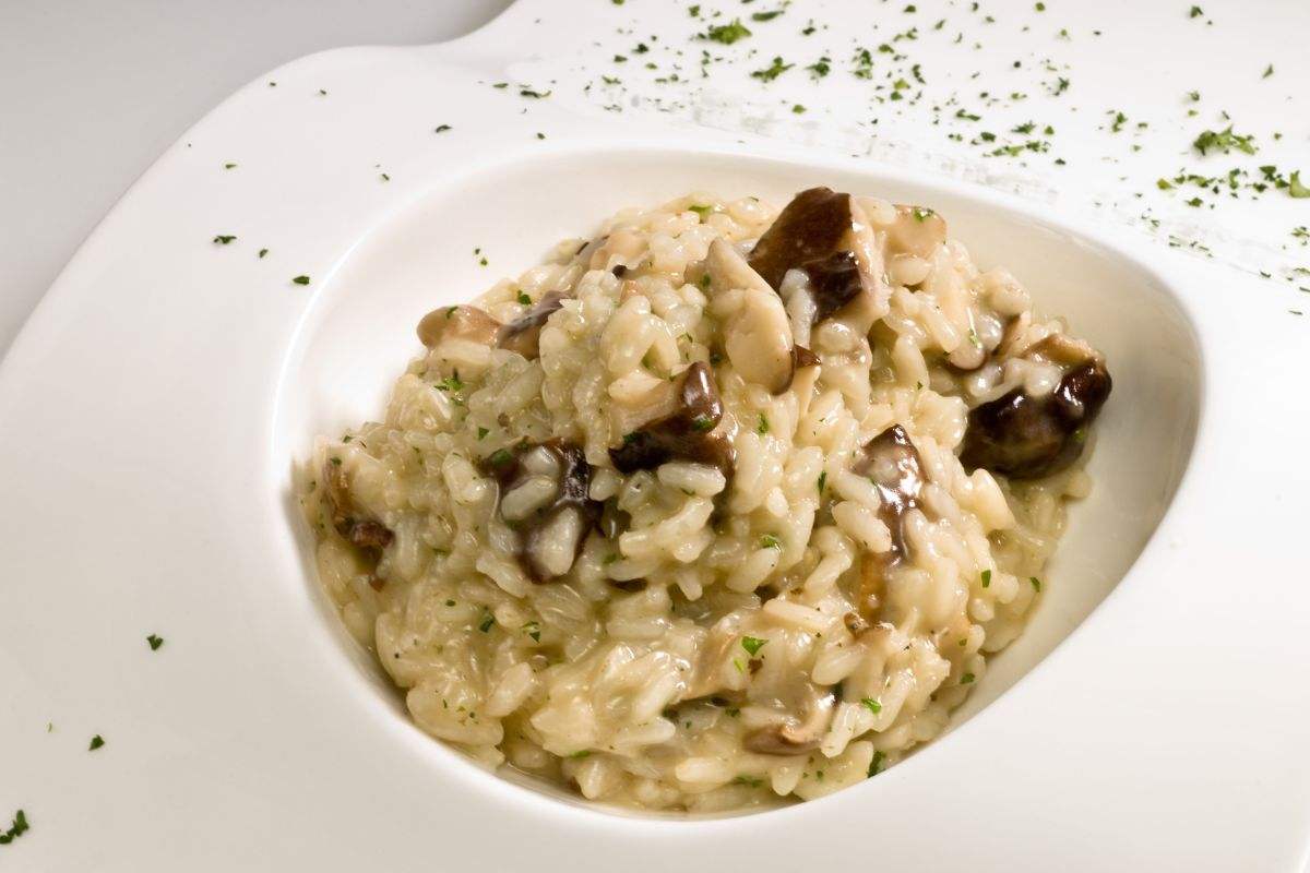 piatto risotto