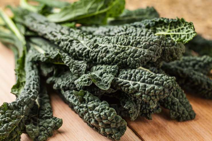cavolo nero