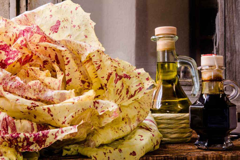 cespo di radicchio variegato