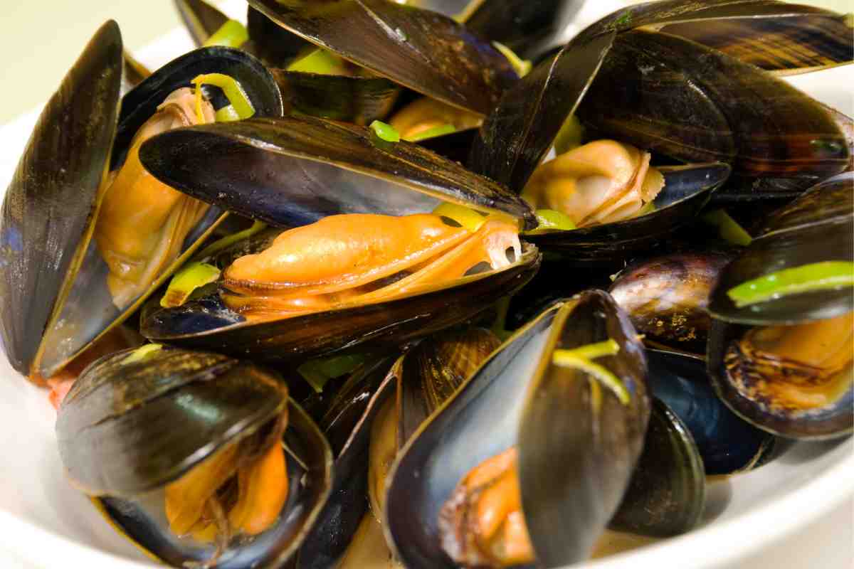 Cozze alla marinara ricetta