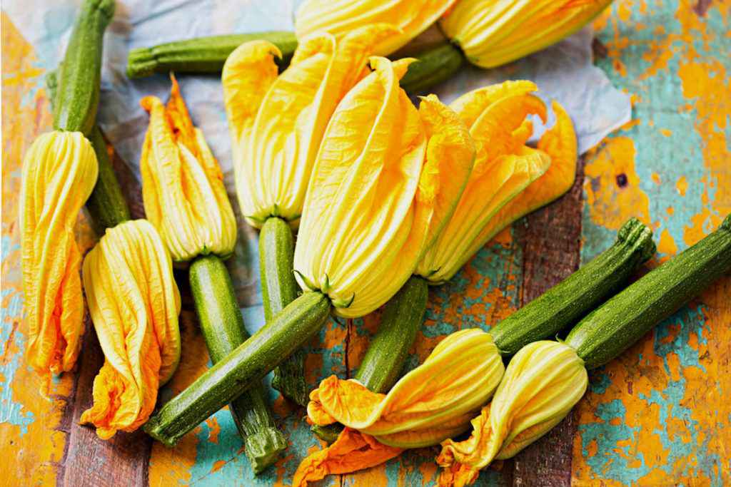 Come pulire i fiori di zucca