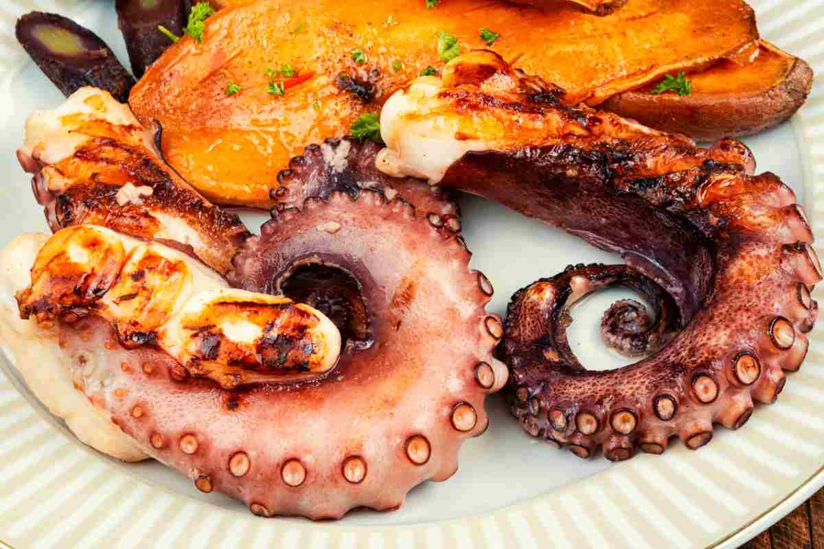 piatto con pezzi di polpo alla griglia e contorno di patate dolci