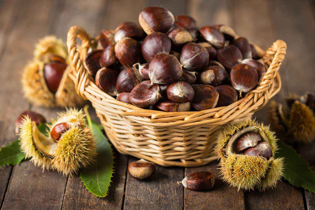 Come cucinare le castagne: le ricette più sfiziose da preparare