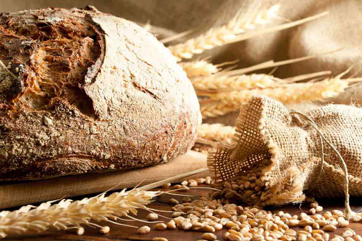 Pagnotta di pane casareccio fatto in casa