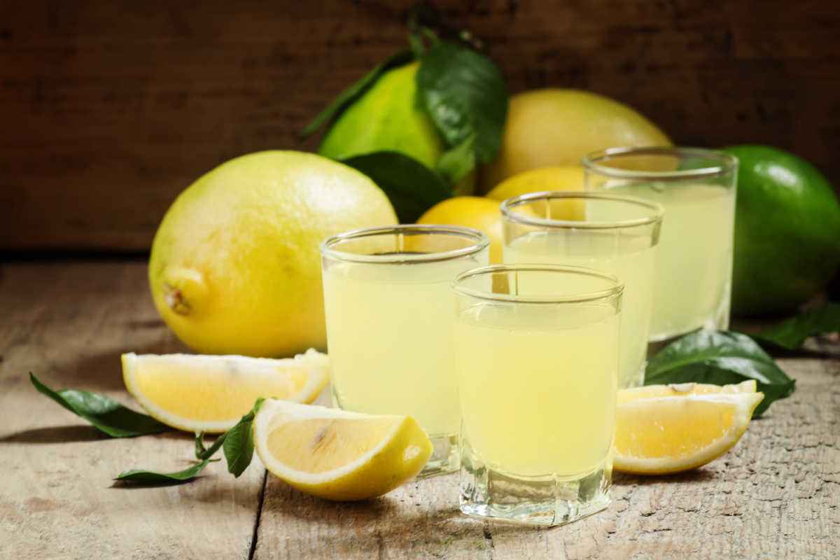 Limoncello con il Bimby