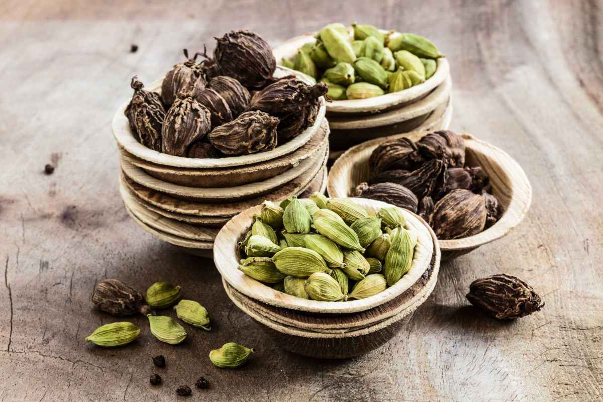 cardamomo verde e nero spezie da comprare su amazon