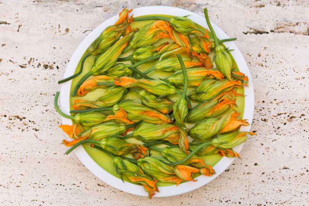 fiore di zucca in padella