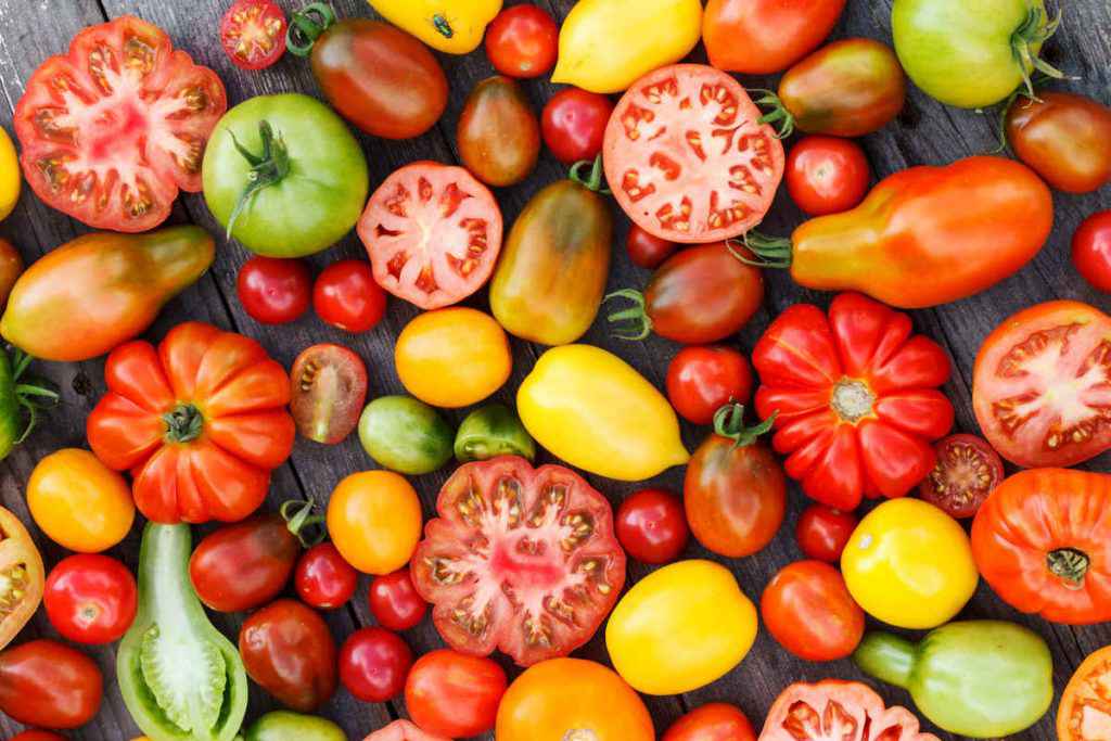 tipi di pomodori per insalata