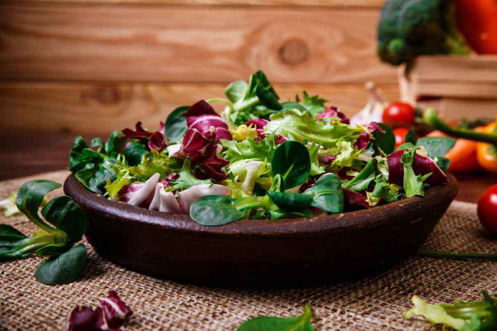 piatto di insalata con lattuga e radicchio ricette autunnali vegetariane