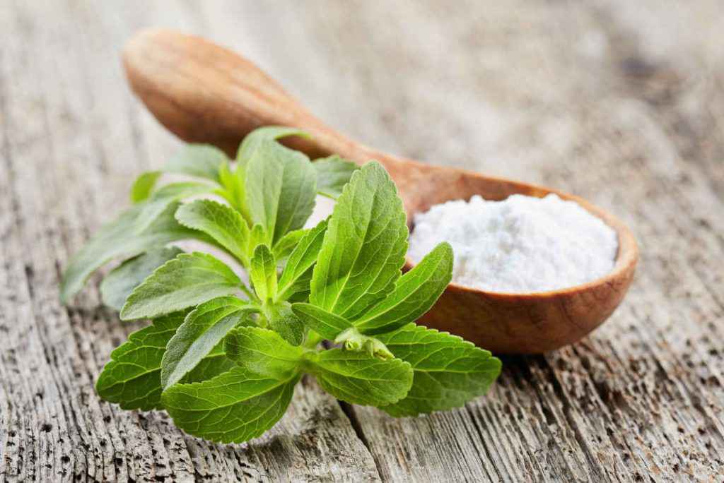 foglie e polvere di stevia