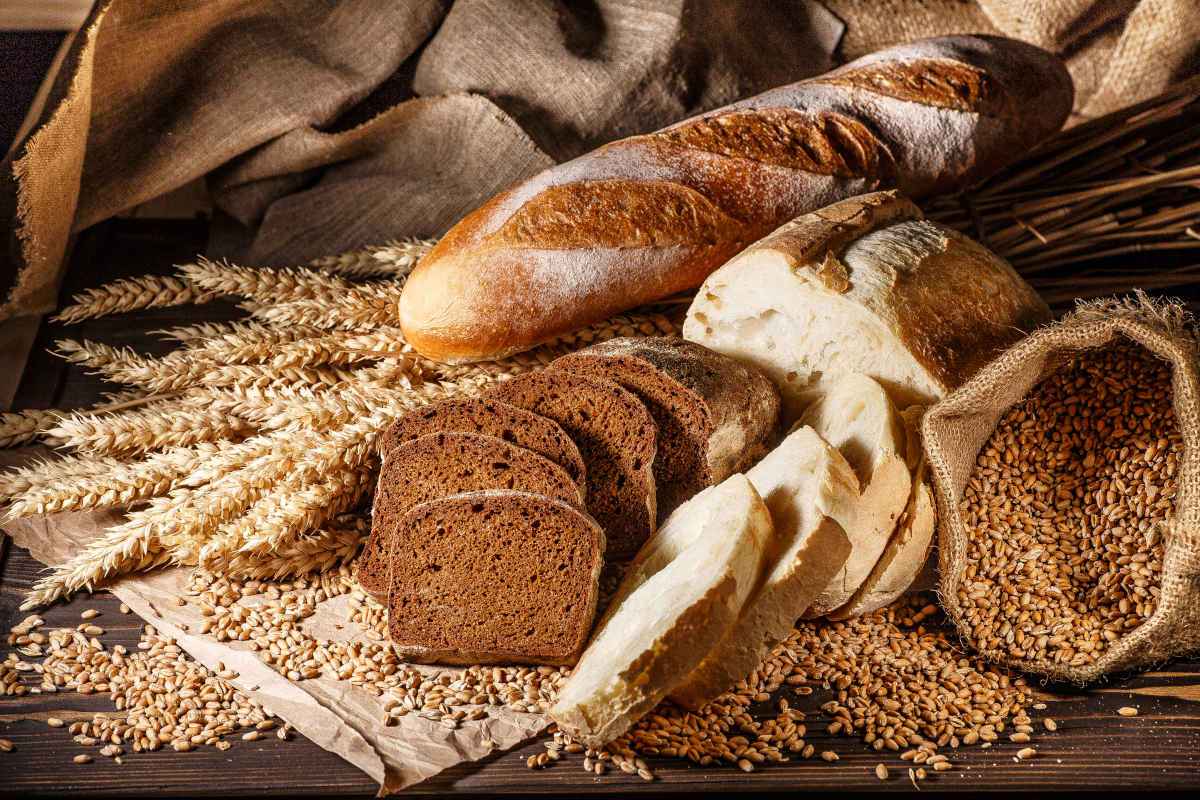 vari tipi di pane fatto in casa