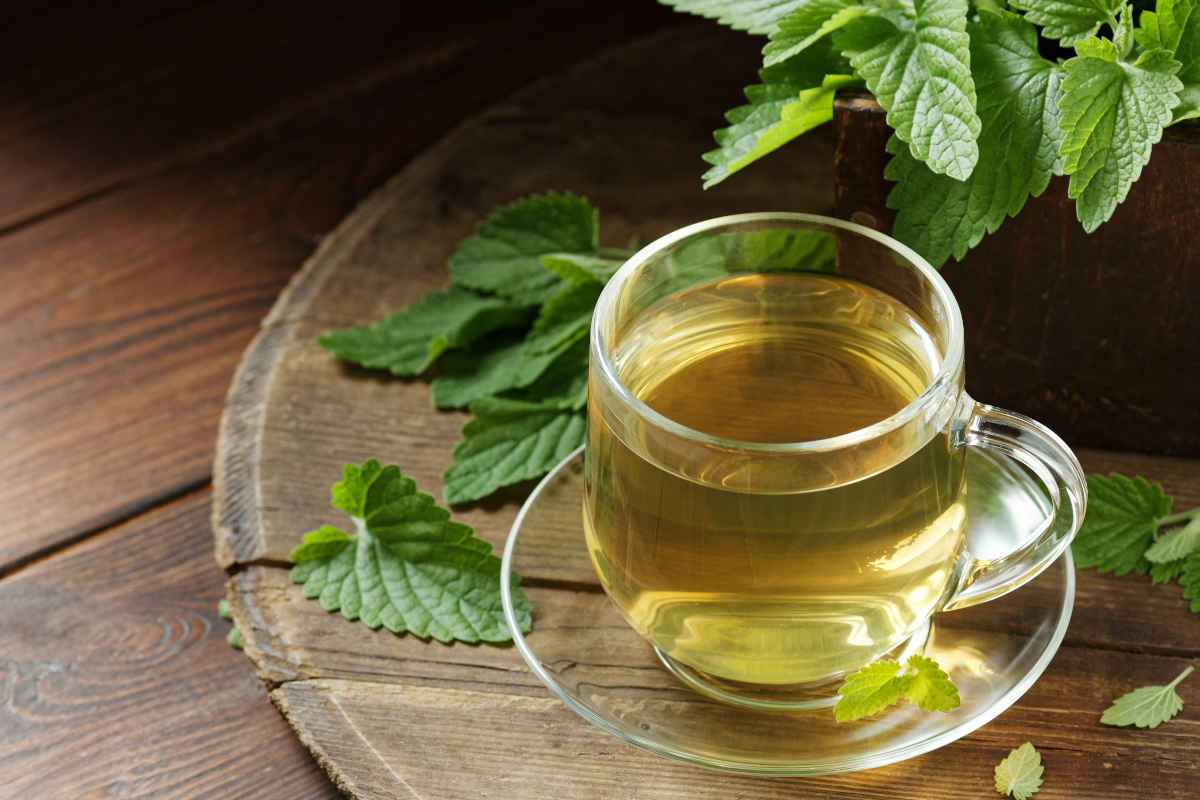 ricette di tisane per digerire