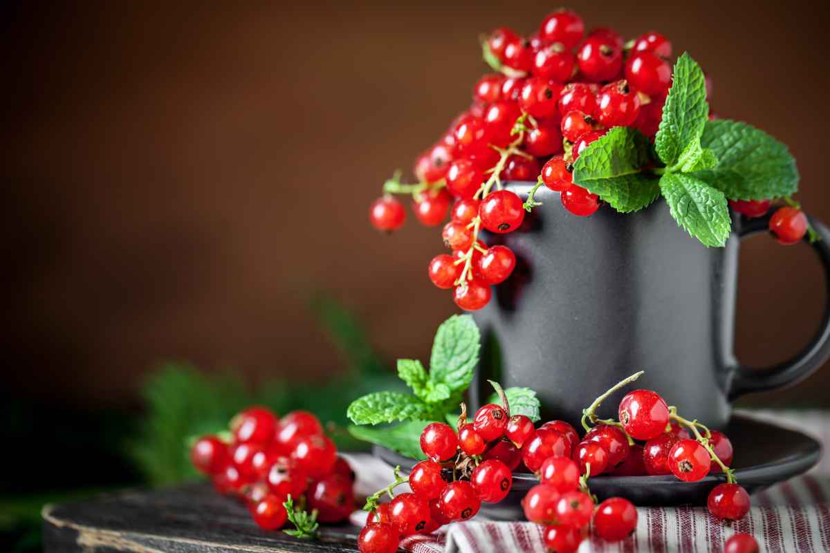 bacche di ribes rosso in tazza nera