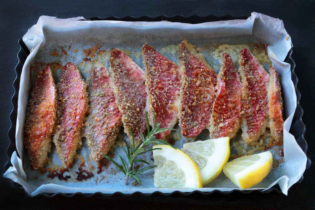 filetti di gallinella al forno in teglia con fette di limone