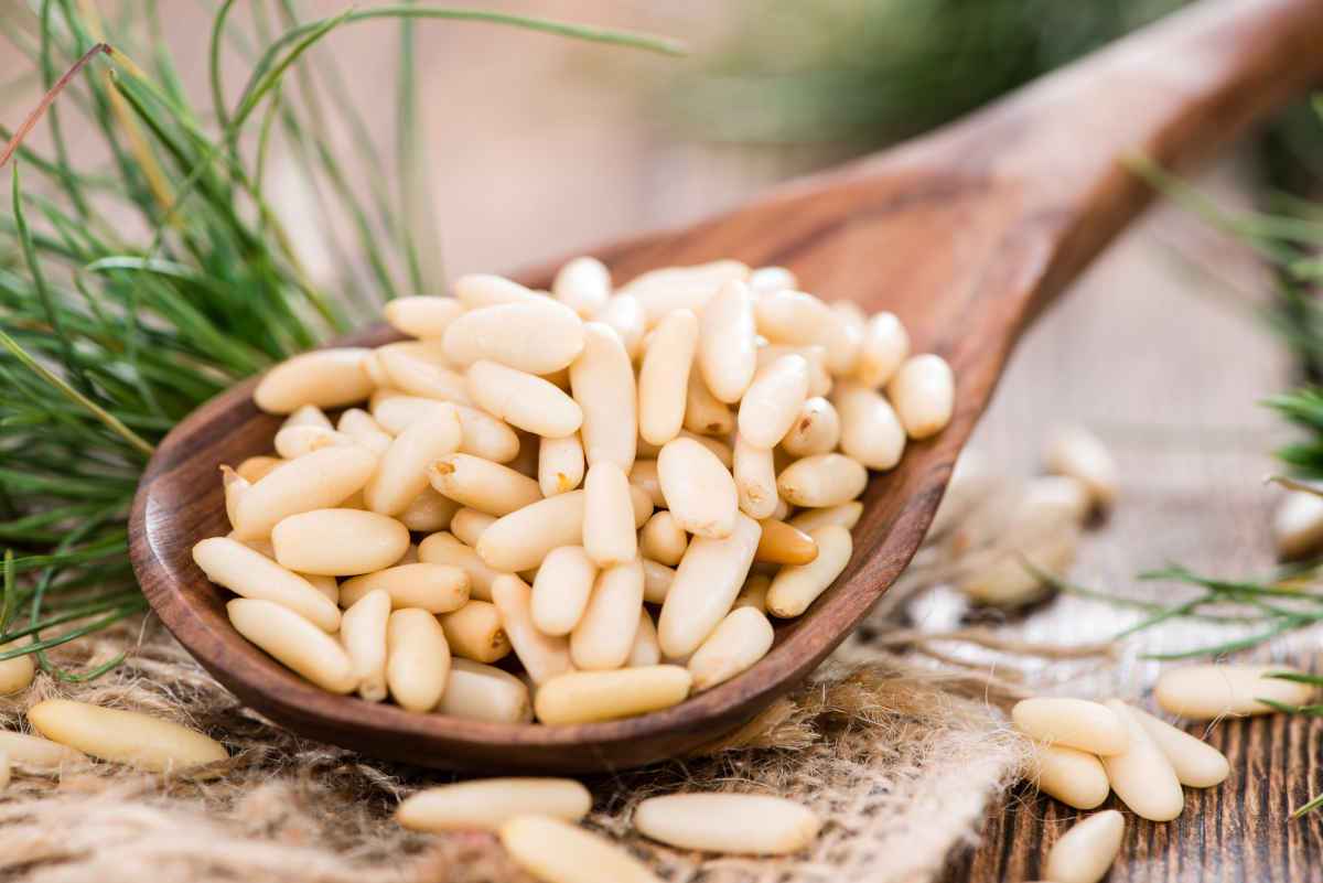 cucchiaio di legno pieno di pinoli freschi