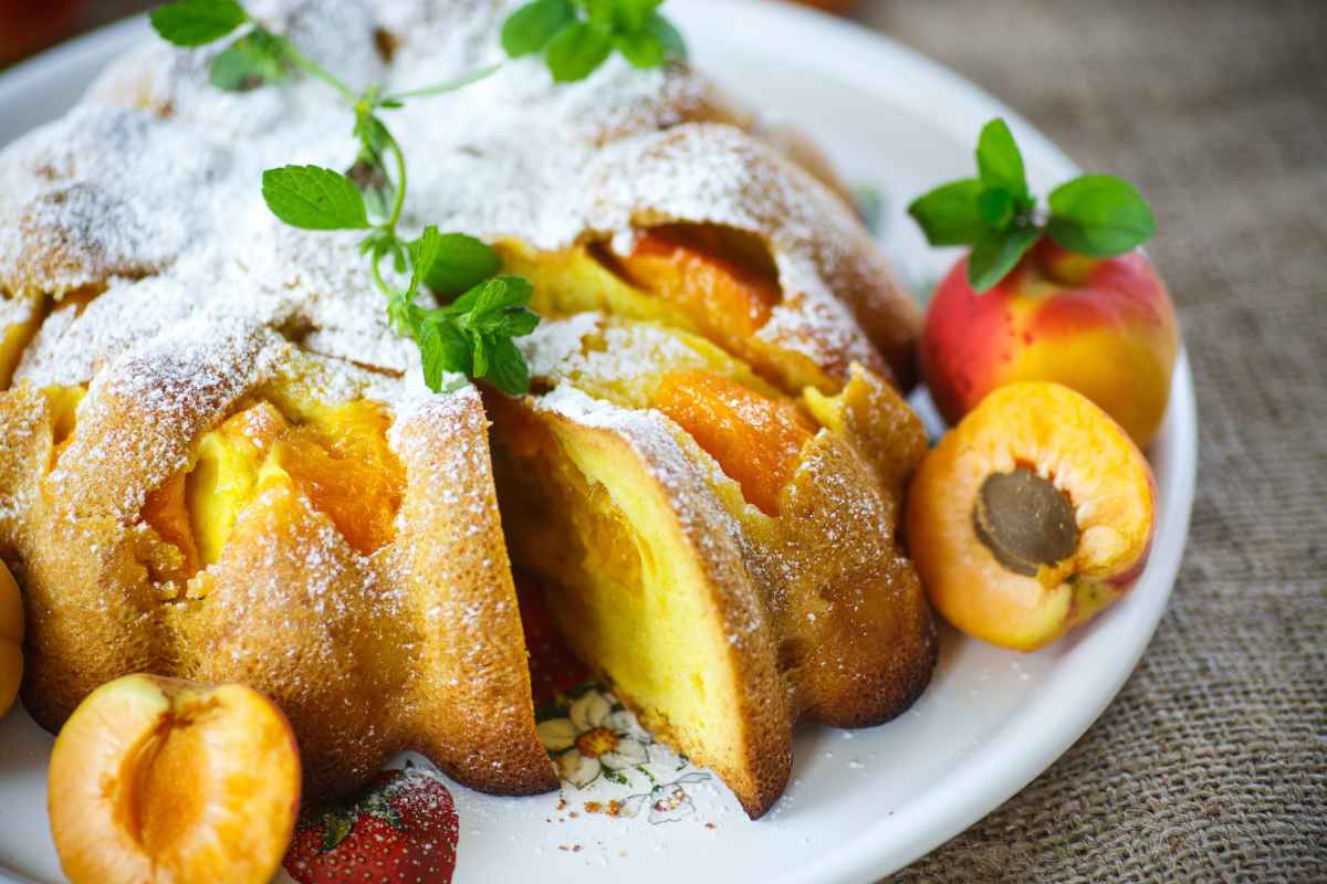 vassoio con torta alle albicocche cosparsa di zucchero a velo