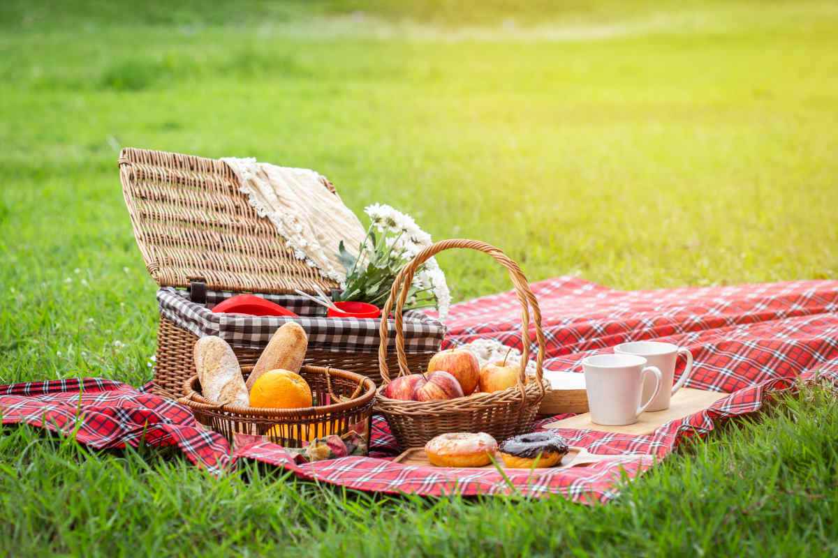 cestino con cibi per pic nic estivo in montagna