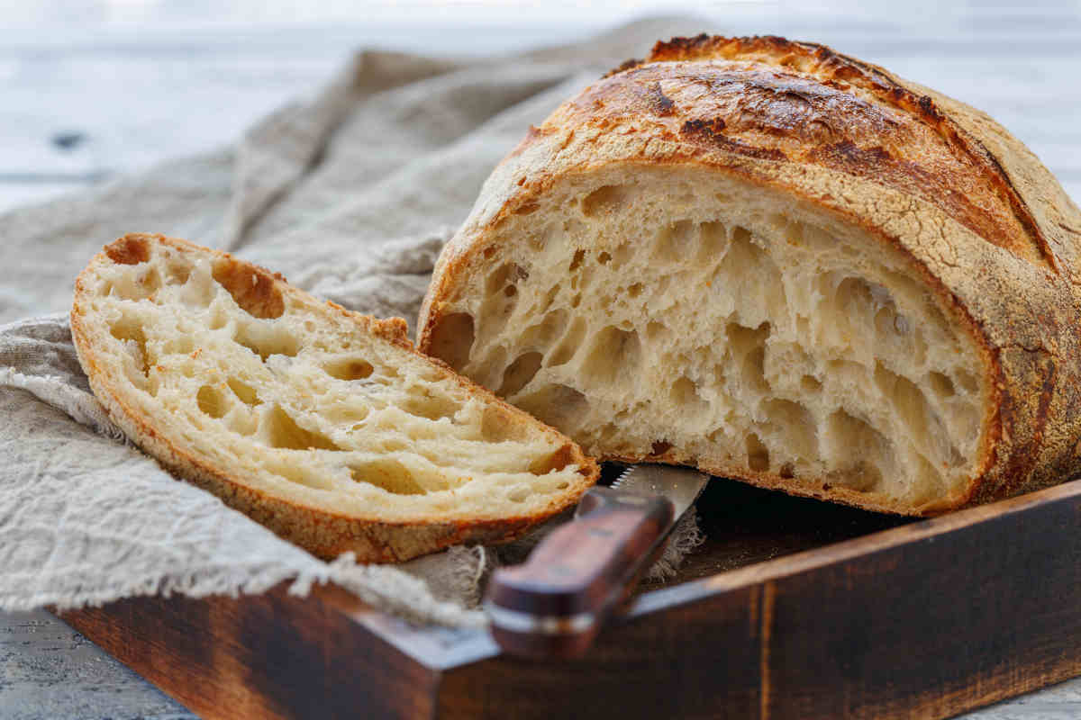 pane alveolato fatto con lievito madre