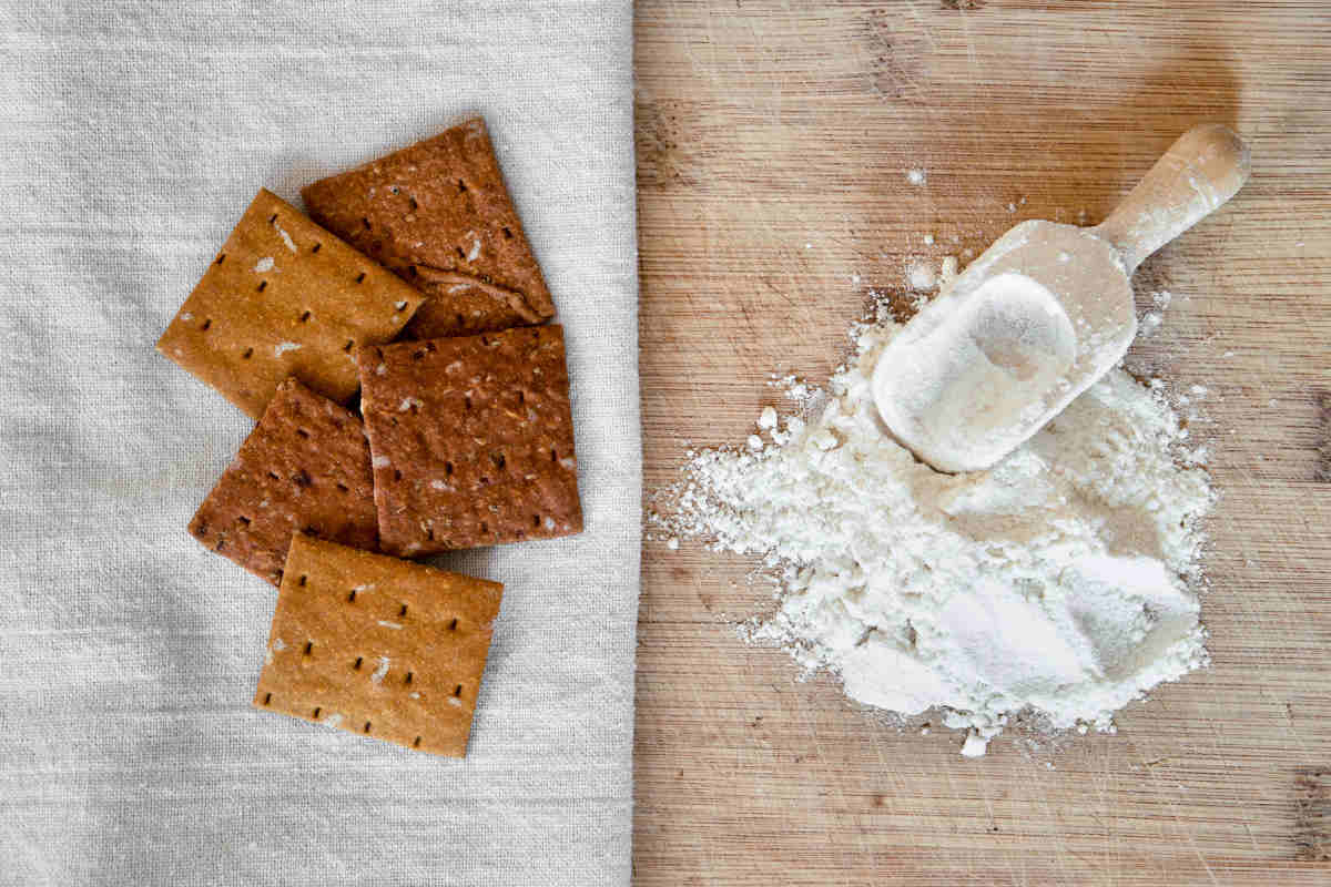 Farina di grillo: come usarla in cucina, le ricette