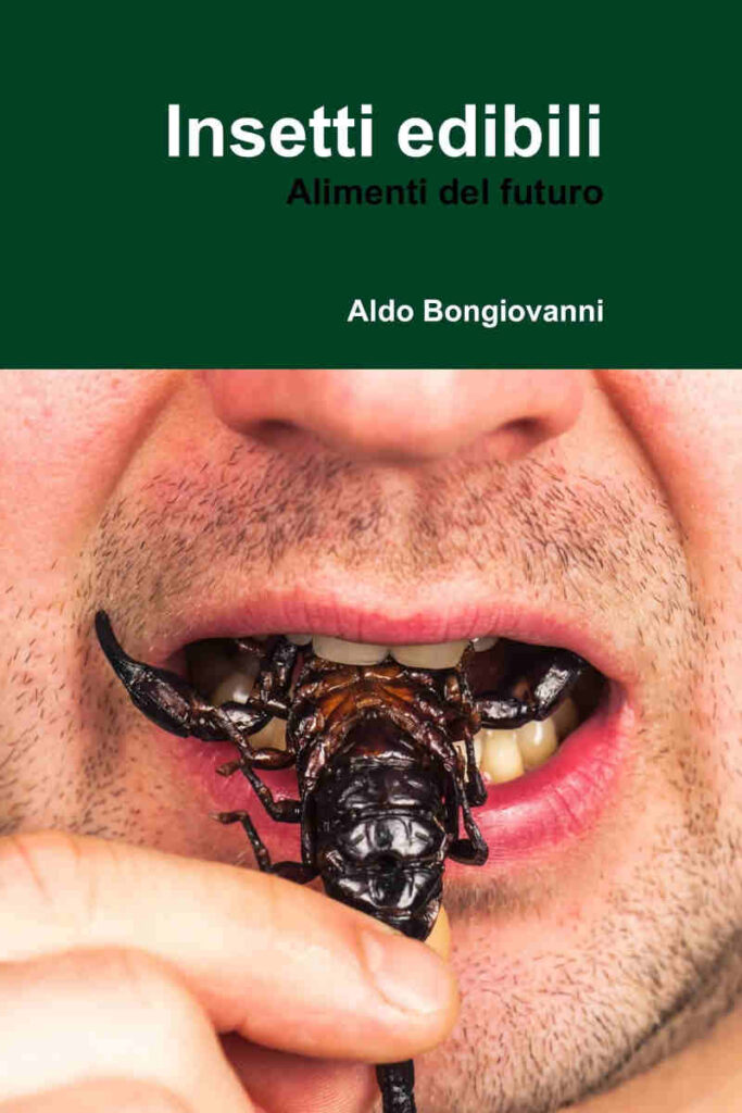 insetti edibili libro