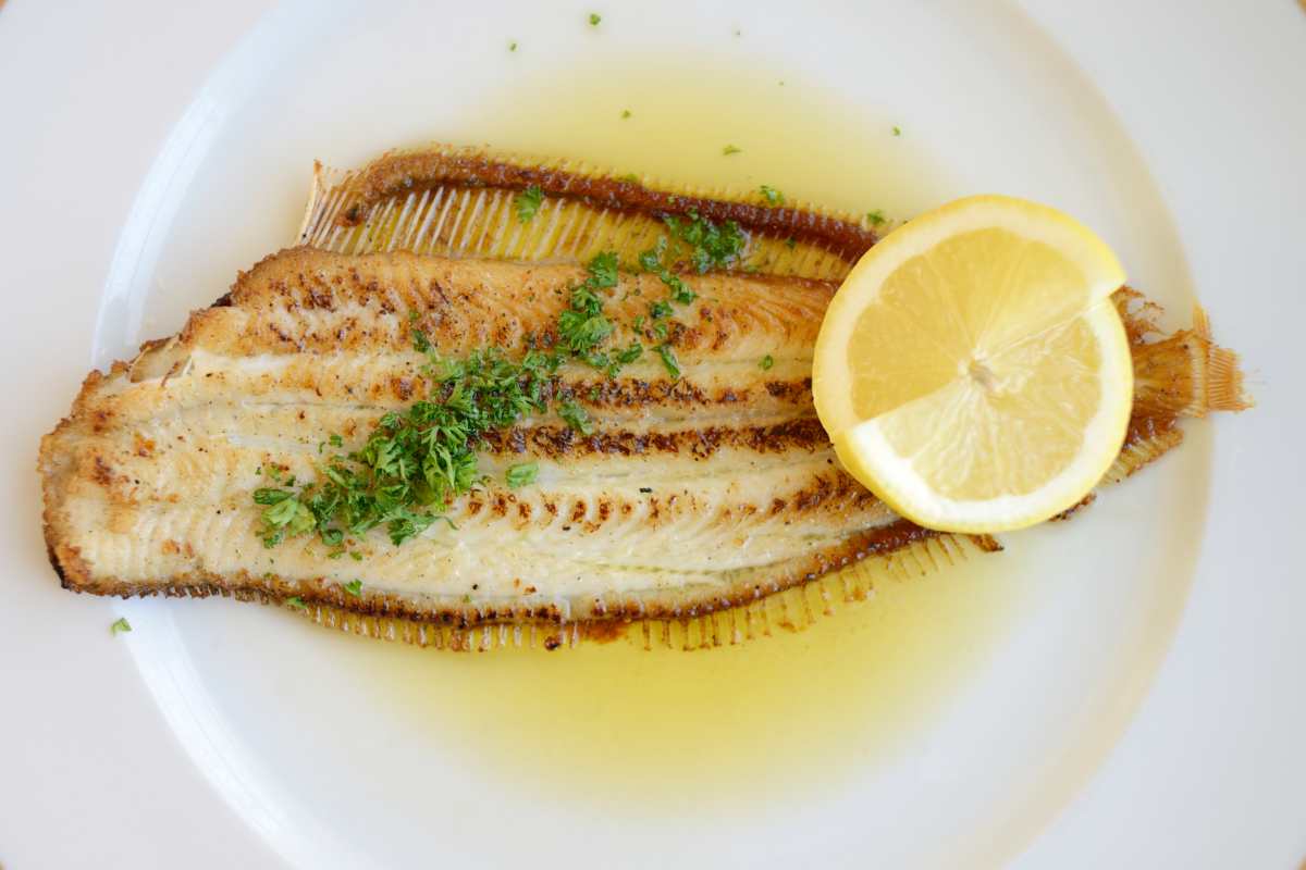 Sogliola alla griglia in un piatto con fettine di limone come guarnizione
