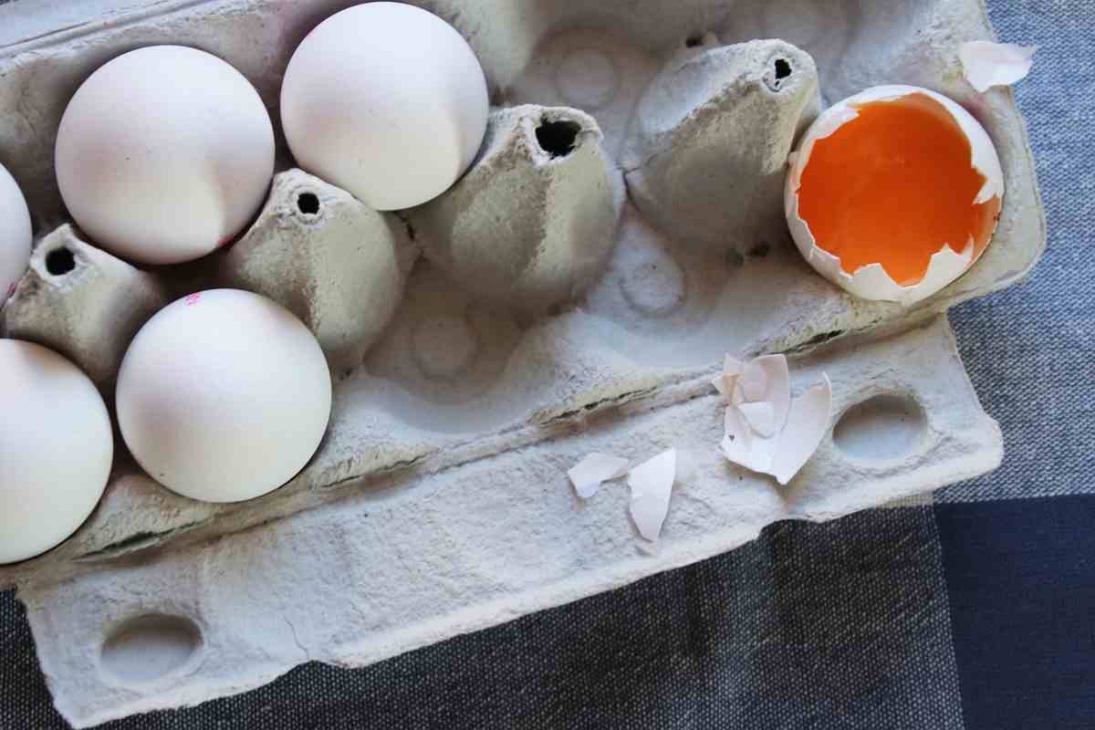 Uovo rotto nella confezione cosa fare