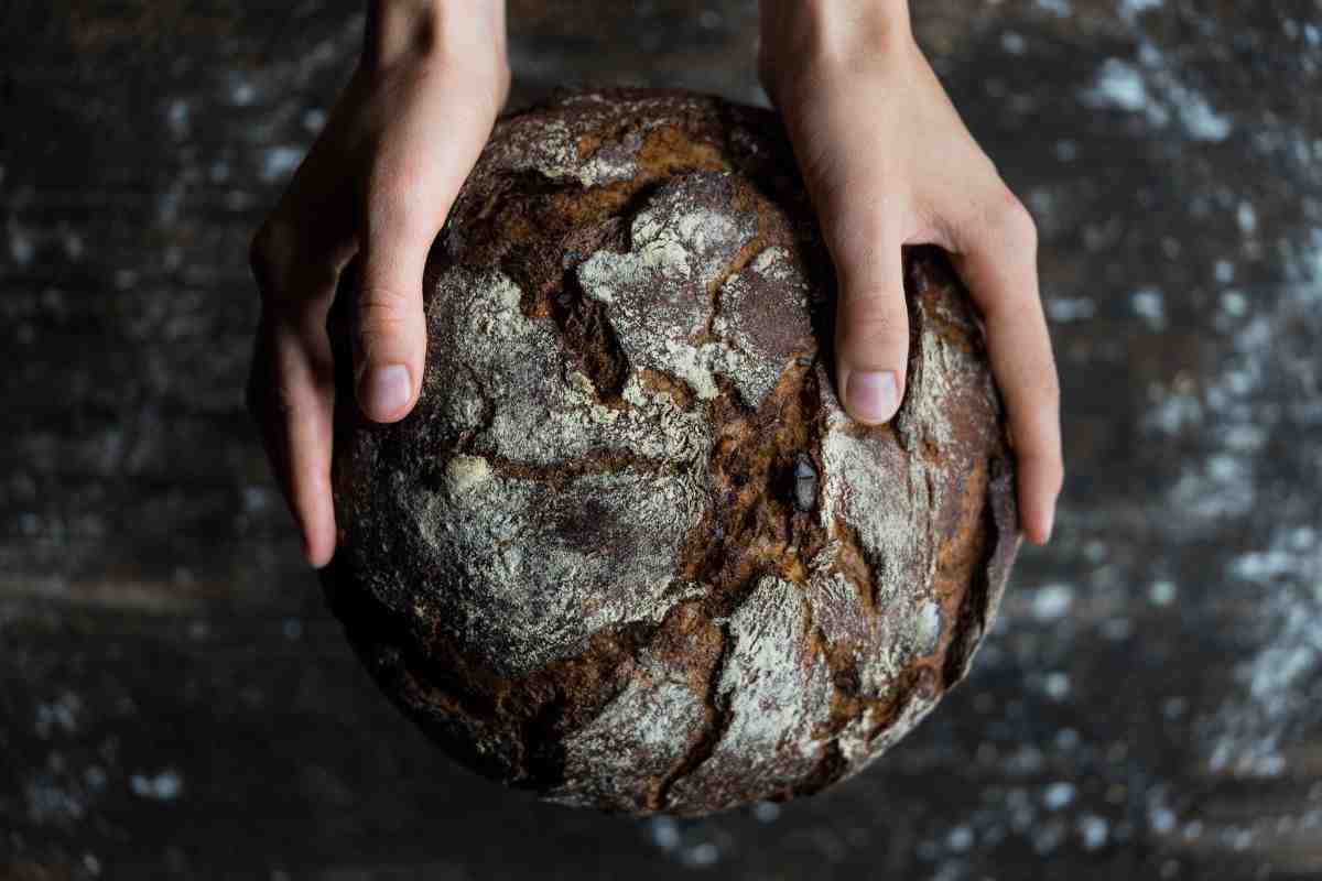 Pane tutte bolle: morbidissimo e facile da fare, segnati subito la ricetta antica della mia nonnina