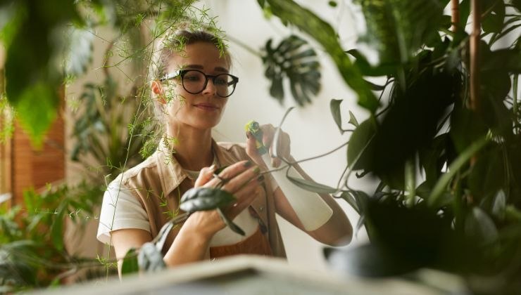 ecco come usare i tappi di sughero come fertilizzanti naturali