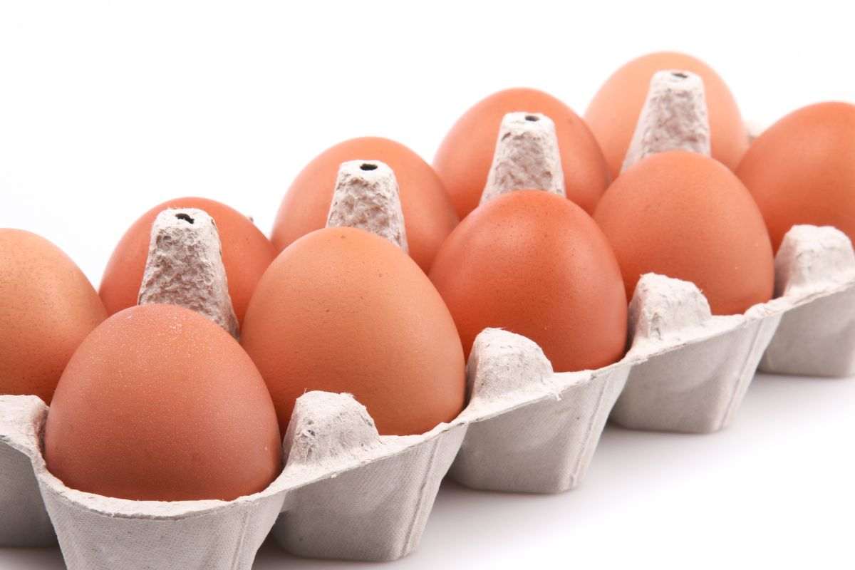 come capire se uova sono buone