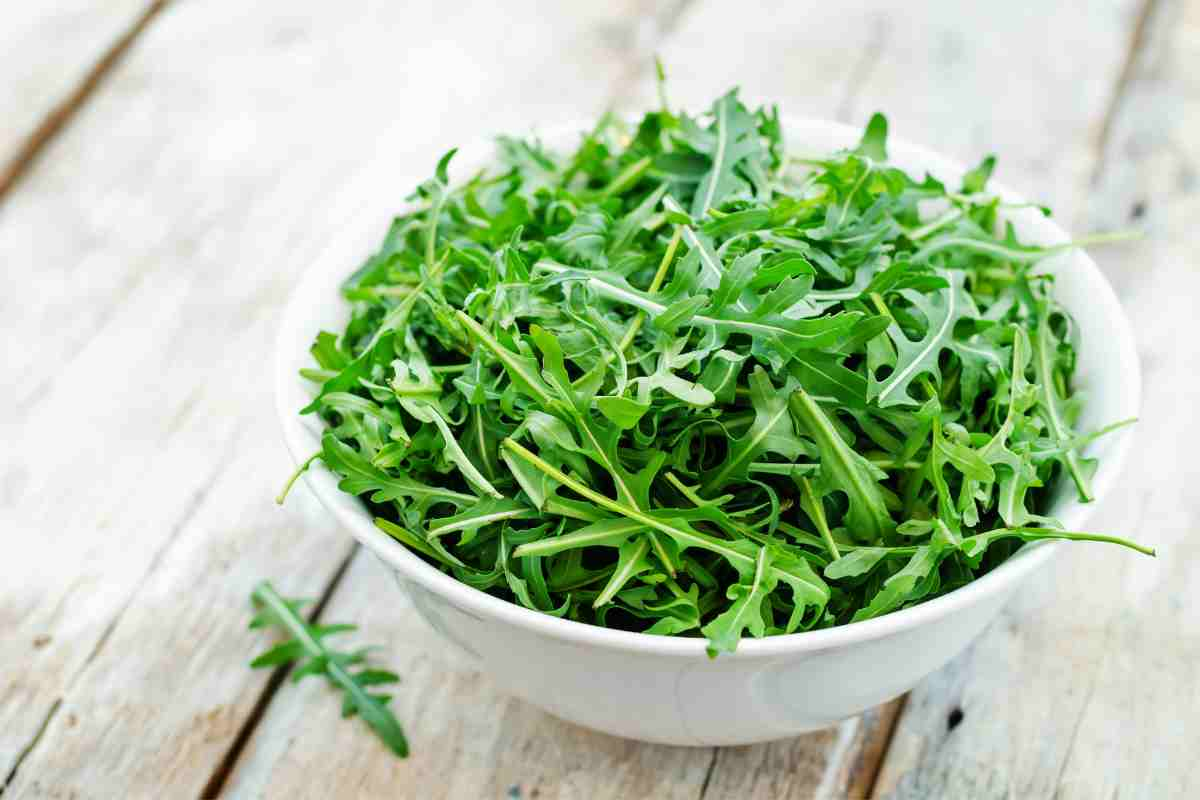 Rucola tossicità