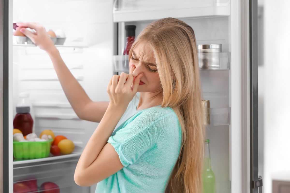 Deodorante naturale per il frigo, con questo trucco non ci saranno più cattivi odori