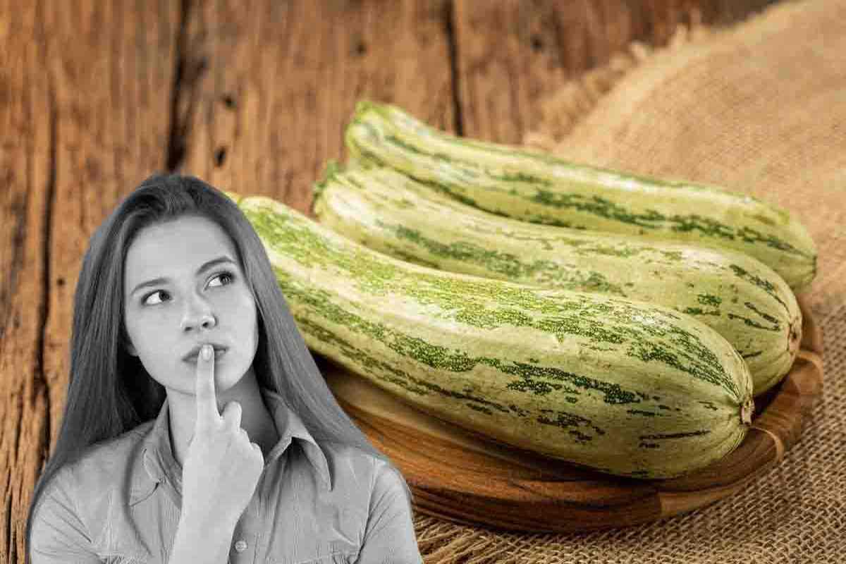 come riconoscere zucchine amare