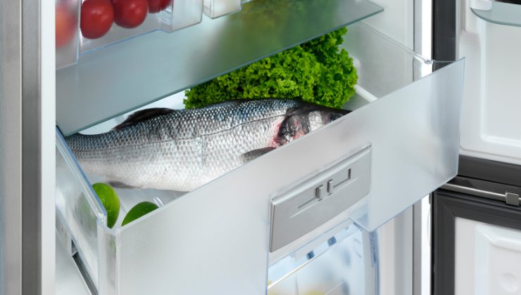 alimenti cibo conservati frigorifero