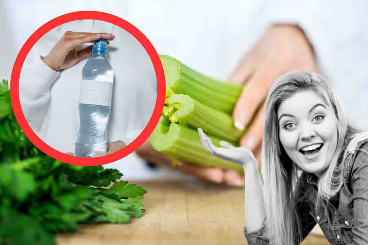 Il sedano è indispensabile in cucina: con una sola bottiglia di plastica lo avrai sempre a disposizione