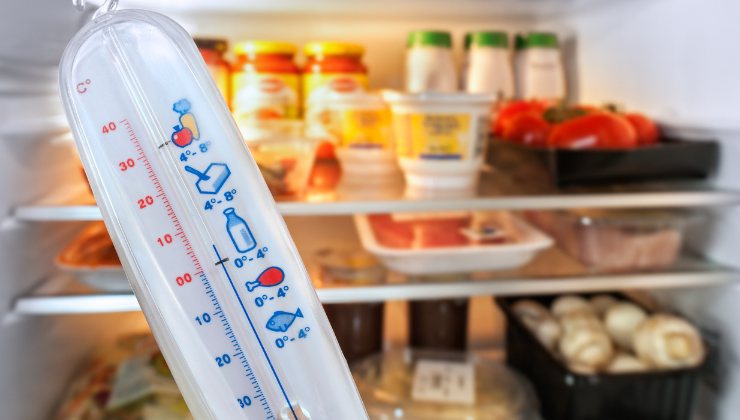 frigorifero temperatura estate alimenti