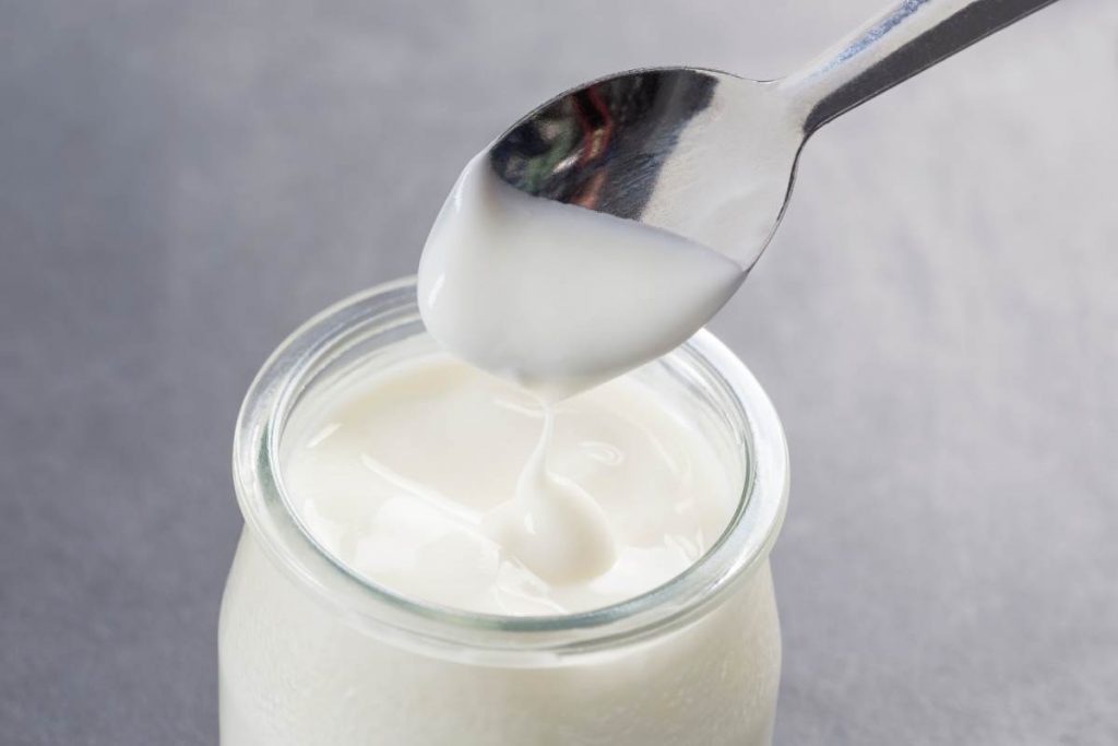 Yogurt fatto in casa con il latte ricetta
