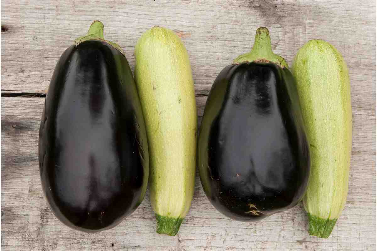 Vuoi un contorno sempre pronto che stia bene con qualsiasi piatto? Prendi una melanzana e 2 zucchine ed è fatto