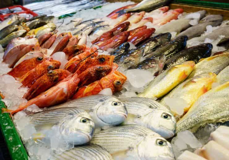 Pesce contaminato, allarme in Italia 