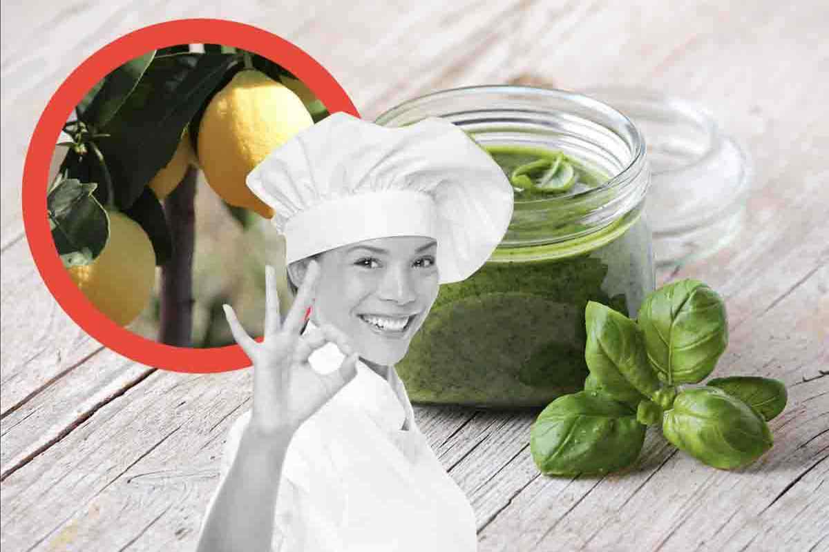 Pesto di Limoni, la ricetta da copiare subito: il tocco di raffinatezza che mancava ai tuoi menù