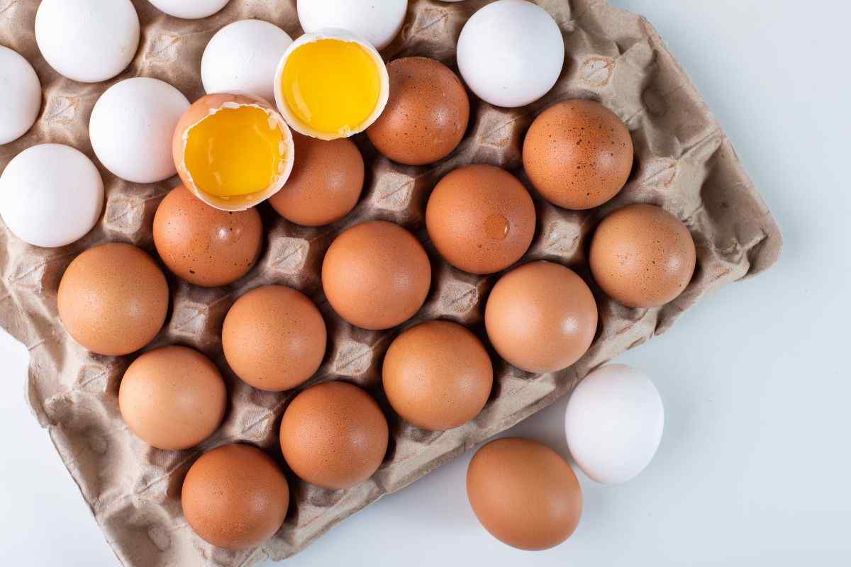 L'importanza del codice sulle uova