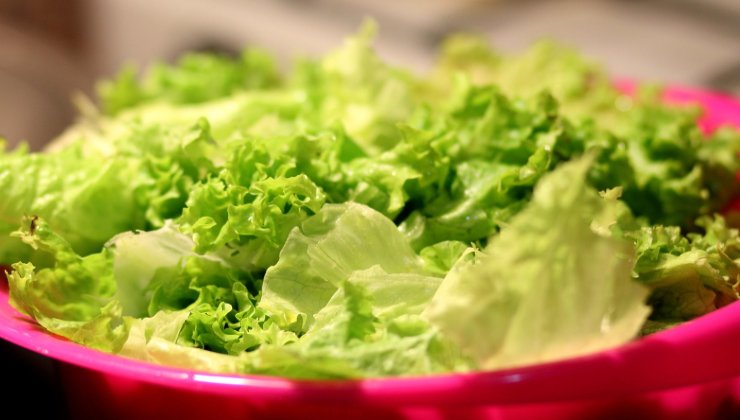 Perché l'insalata in busta è rischiosa