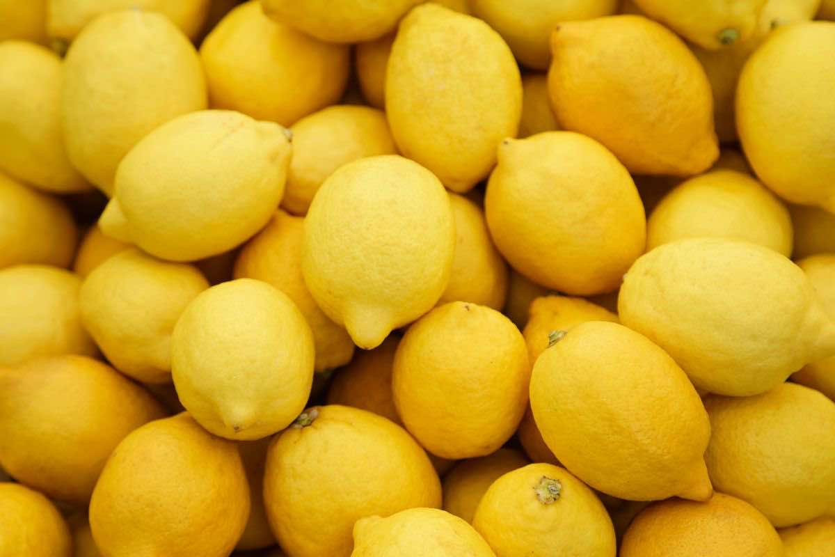 come conservare i limoni 