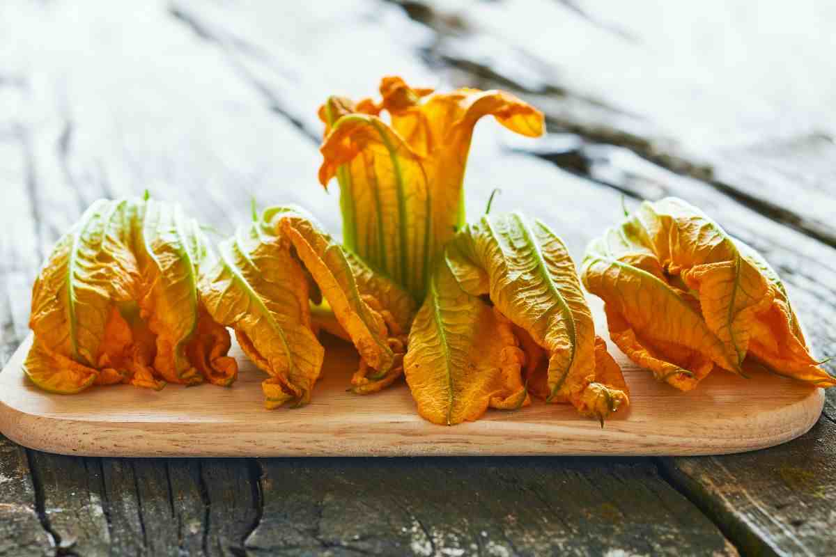 fiori di zucca ripieni ricetta