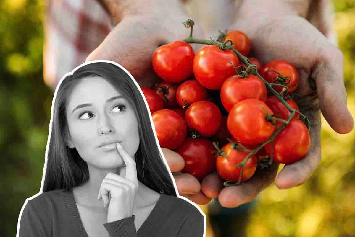 Sembrano pomodori, ma se li mangi rischi la vita seriamente: massima allerta | Ecco cosa fare subito