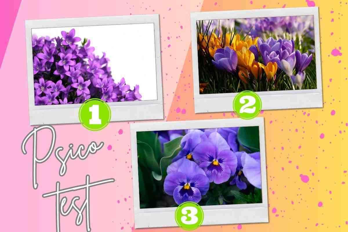 Quanto sei elegante? Scegli quali fra questi fiori viola ti attirano di più e lo scoprirai