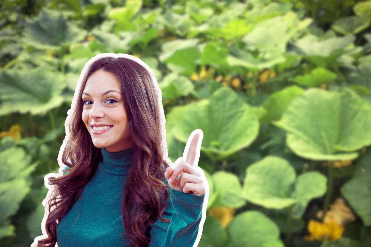 Zucchine, puoi piantarle vicino a loro: non lo immagini nemmeno