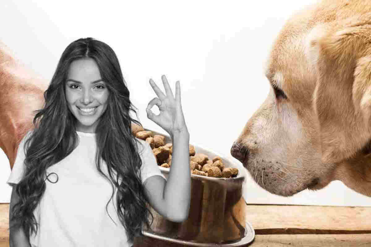 Croccantini per cani, la ricetta di Benedetta Rossi per prepararli in casa: non li comprerai più